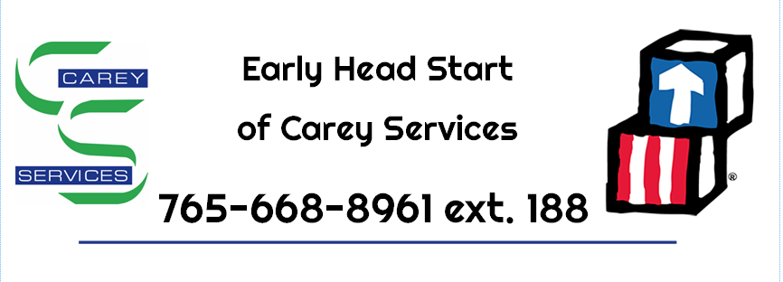 Carey Services, Inc.'s Logo